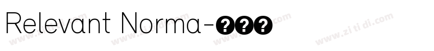Relevant Norma字体转换